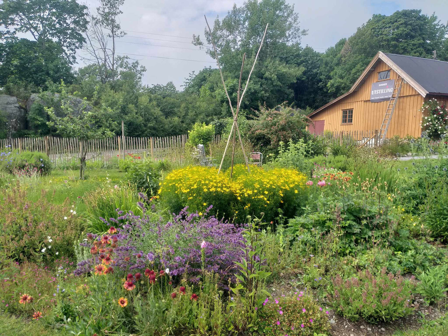 Galleri Askehagen, kunst i Stavern, kunst i vestfold, botanisk tegner og smykkekunstner Annegi Eide, smykkedesigner Stavern, galleri Brunlanes, prisvinnende fotograf, kunstfotografi Øysten Glenne Kristiansen, galleri Stavern