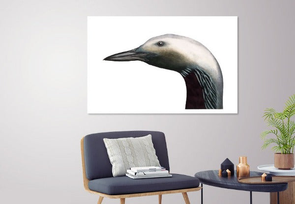 storlom, gavia arctica, fuglekunst, fugletegner, fugletegning, kunst i opplag, ornitologi, gave til fugleinteressert