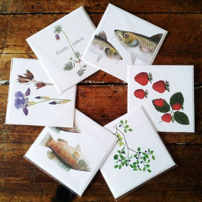 Annegi Eide, kunstkort, artcards, botanisk tegning, kort med fiskemotiv, torsk, jordbær, hageiris, papirvarer, sende kort, gave, julegave, naturinteressert, send et kort