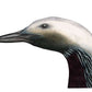 storlom, gavia arctica, fuglekunst, fuglekunstner, kunst fuglemotiv, kunst i opplag, ornitologi, fuglekjennskap, fugleinteressert, gave, fuglebilde, zoologisk kunst, fugletegning