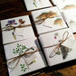 Botaniske kort. Zoologiske kort. Naturmotiver på kort. Kortpakke. Kvadratiske kort. Botanisk kunst. Kort med motiv av fisk. Blomsterkort.  Botanisk tegning. Gave til naturinteressert. Flora.
